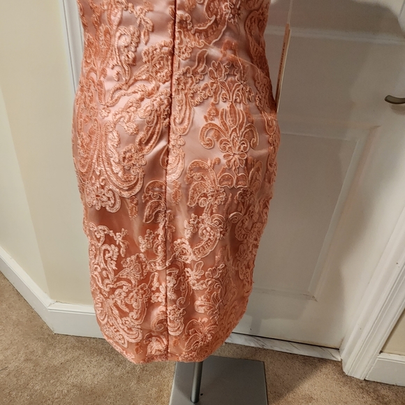 Pink new with tags wedding lace dress size 10 - Picture 8 of 10